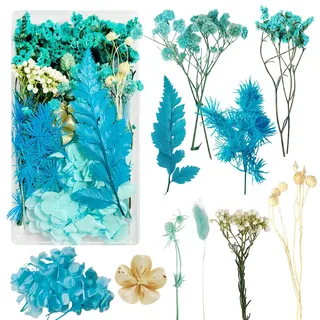 Trockenblumen Trockenblumen zum Basteln Trockenblumen Klein Dried Flowers Trockenblumen Bunt Trockenblumen Deko Getrocknete Blumen in Schachteln für DIY Fotorahmen Dekoration Craft Dekoration (Blau)