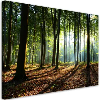 Feeby Vlies Wandbild - Wohnzimmer Modern Deko - Grüner Wald Natur - 120x80 1tlg - Vlies Bilder Leinwand - Bild Schlafzimmer - Leinwandbilder Wand - Canvas Painting - Fotokunst