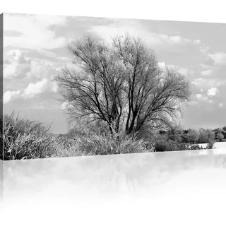 KL KUNSTLAB Leinwandbild Baum im Winter Bild auf Leinwand Natur Dekoration, Landschaft - 100x55 cm 1-Teilig: Schwarz-weiß