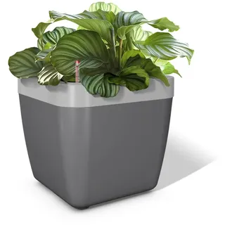 Emsa myBOX Blumenkübel anthrazit/alu , Maße ca. L 350 mm x B 350 mm x T 340 mm Blumenkasten incl. Rahmen