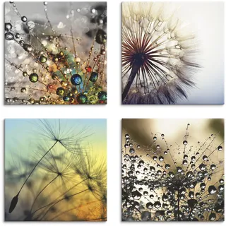 Leinwandbild ARTLAND "Pusteblume,Nahaufnahme Löwenzahn", beige (farbe bild(er): naturfarben), B:30cm H:30cm, Leinwand, MDF, Bilder, Leinwandbild, 4er Set, verschiedene Größen