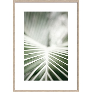 artissimo Bild mit Rahmen Bild gerahmt 51x71cm / Design-Poster mit Holz-Rahmen / Wandbild, greünes Blatt grün