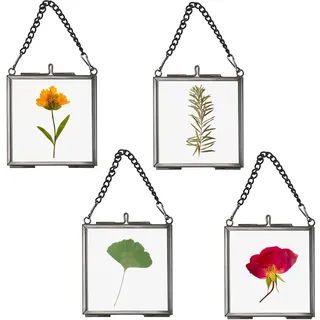 SUMTree 4 Pcs Mini Bilderrahmen aus Metall Glas Schwarz 7x7cm Quadratisch | Hängende Glas Fotorahmen Geometrische Ornament Glasbilderrahmen Pflanze Probe Clip Glasrahmen für gepresste Blumen, Fotos