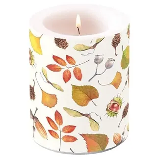 Ambiente Kerze Stumpenkerze Herbst Laub Blätter 10 cm hoch 45h Brenndauer candle autumn details