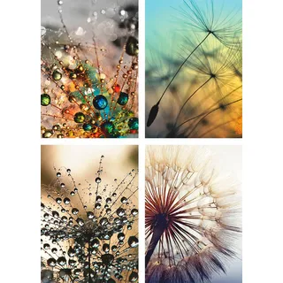 Poster ARTLAND "Pusteblume,Nahaufnahme Löwenzahn", beige (farbe bild(er): naturfarben), B:29,7cm H:42cm, Bilder, Poster, Bilder Set, 4tlg., ohne Rahmen