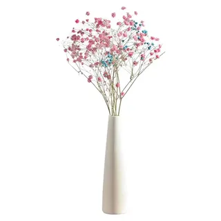 Blumenvasen hohe konische Form - Weiße Keramikvase - Schmale Halsvase - Tischvase - Hochwertiger Ton - Abmessungen 22 x 6 x 2,5 cm - Weiß