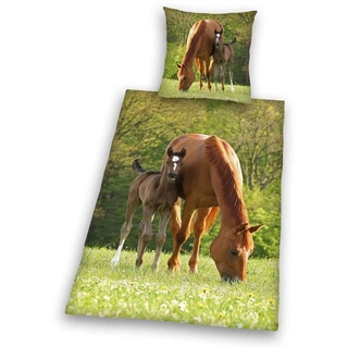 Bettwäsche Pferd mit Fohlen, Herding, Renforcé, 2 teilig, Bettwäsche-Set, 135x200 cm Bettbezug, 80x80 cm Kissenbezug, Baumwolle