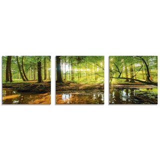 ARTland Glasbilder Wandbild Glas Bild Set 3 teilig je 30x30 cm Quadratisch Wald Natur Landschaft Bäume Bach Sonne Frühling T9IO