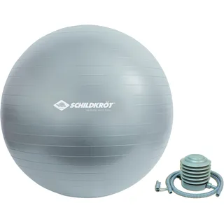 Donic Schildkröt Gymnastikball Silber 65 cm