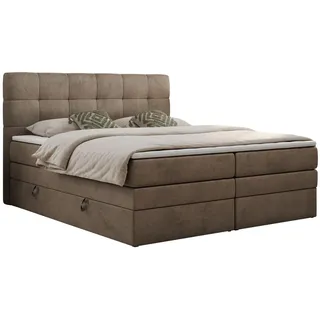 MKS Luka King 160 x 200 cm H4 Braun