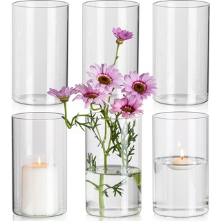 Glasseam Blumenvase Glas Vasen, 6 x Klar Kleine Vase Set, 15 x 8,5 cm Zylinder Runde Glasvase Schöne Blumenvasen für Tulpen, Minimalistische Dekovasen Kerzenhalter für Hochzeit Tischdeko Dekohaus