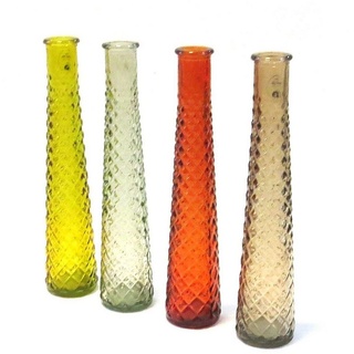 Countryfield Dekovase Glas Vase 4er Set Mehrfarbig Schmal Hoch 31 cm bunt