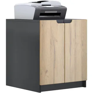 Vladon Logan Aktenschrank 51 x 60,5 x 54 cm braun