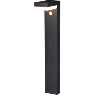Brilliant LED Solar Außenstehleuchte Mamba Schwarz 4000K Neutralweiß mit Bewegun...