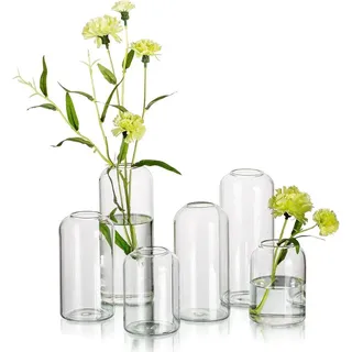 Glasvase für Blumen 6er Set, Borosilikatglas, Zylindervasen für Wohnzimmer