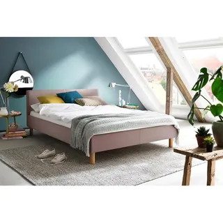 Meise Möbel Polsterbett Lena 120 x 200 cm Stoff Rosa Altrosa