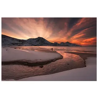 Papermoon Premium collection Fototapete Gold Sonnenuntergang  (B x H: 400 x 260 cm, Vlies)
