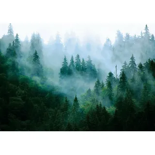 WallArena - Vlies Fototapete Wald im Nebel Natur Grün Landschaft Bäume 254x184 cm - Fototapeten - Tapeten - für Wohnzimmer Schlafzimmer - Vliestapete Wandtapete Tapete 3D Effekt- inkl. Kleister