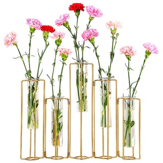 Aufklappbare Blumenvasen Reagenzglas Blumenvase mit 5 Reagenzgläsern Gold Metallrahmen kann gebogen und verbogen Werden, Anzuchtstation Pflanzenhalter Tubos De Ensayo für Zuhause Hochzeit Dekor,