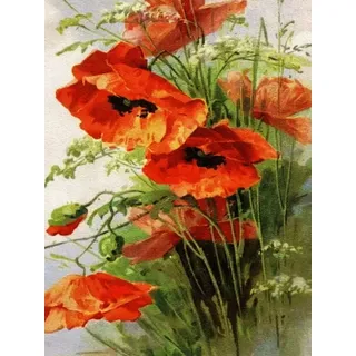 Malen Nach Zahlen Erwachsene Mohn Ölgemälde Nach Zahlen Blume Acrylfarbe Auf Leinwand Handgefertigt, Rahmen Zum Selbermachen, 50 X 70 Cm Diy Ölgemälde Malen Nach Zahlen Erwachsene Kit Zoll Für Anfän