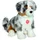 Australian Shepherd Welpe