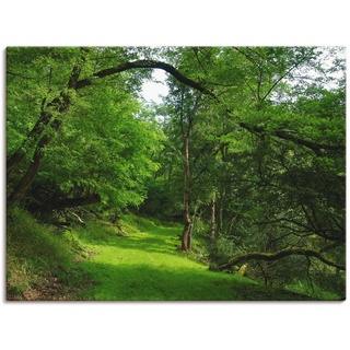Wandbild ARTLAND "Grüner Weg durch den Wald" Bilder Gr. B/H: 120 cm x 90 cm, Leinwandbild Wald, 1 St., grün Kunstdrucke