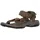 dark olive/desert palm 45,5
