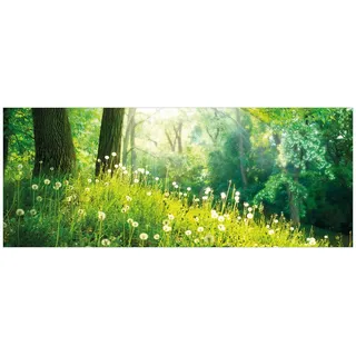Wallario Glasbild Pusteblumen im Wald mit einfallenden Sonnenstrahlen - 50 x 125 cm Wandbilder Glas in Premium-Qualität: Brillante Farben, freischwebende Optik