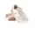 Damen Ivory / Salmon 37,5