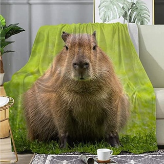 Kuscheldecke Grüner Capybara Kuscheldecke 220x240cm Wohndecke Fleecedecke Kuscheldecke Kinder Sofa üBerwurfdecke Flauschige Decke Blanket Tagesdecke Camping Decke Reisedecke 3D Drucken