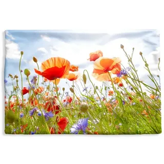 MuchoWow Dekokissen Blumen - Mohn - Frühling - Natur - Rot - Blau, Kissenbezug für Sofa, Dekorationkissen, Kissenhüllen, 60x40 cm bunt Rechteckig | 60 cm x 15 cm x 40 cm