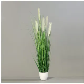 Kunstgras Pampasgras im weißen Dekotopf DP Kunstpflanzen Kunstgras künstliches Gras, Seidenblumen Roß, Höhe 150 cm 150 cm