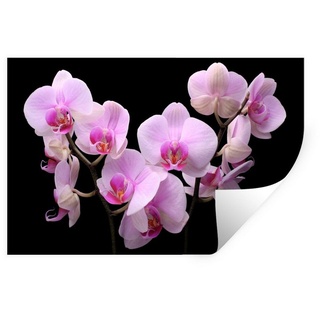 MuchoWow Wandsticker Orchidee - Blumen - Rosa - Flora (1 St), Wanddeko, Aufkleber für die Schlafzimmer, Wohnzimmer, Wandtattoo bunt 120 cm x 80 cm x 0.1 cm