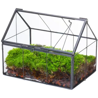 NCYP Geometrisches Mini Glas Terrarium mit Deckel, 15,5 x 10,8 x 12,5 cm, Hausform geschlossener Übertopf für kleine Sukkulenten Pflanzen, Handgefertigt Heimgarten Büro Tischdekoration (Nur Terrarium)