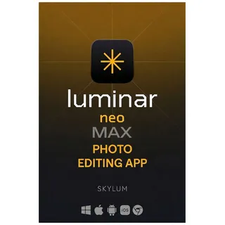 Skylum Luminar Neo Max Dauerlizenz 2 Geräte Win