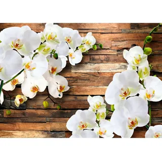 Runa Art Fototapete 3D Orchidee Holz Modern Vlies Wohnzimmer Schlafzimmer - Made in Germany - 308 x 220 cm Weiss 9057010a