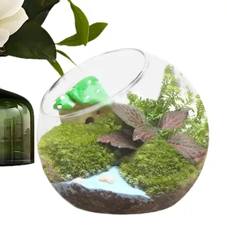 Terrariumglas - Kristallwall hängende Pflanzer | Praktische runde Terrarium Fischschüssel Glasvase | Glass Blumenpot -Vase für Wohnzimmer, Esstisch und Schlafzimmer