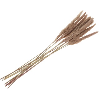 Kunstpflanze Pampasgras, 10 Stück, 80 cm beige