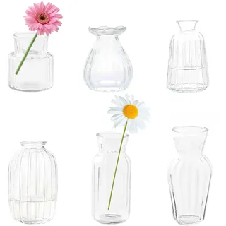 Kleines Glas klare vertikale Streifen Vase Bud Vasen in Bulk EylKoi Set von 6 verschiedenen Formen Vintage Mini Tiny Flower Vasen Modern Cute für Home Table Hochzeit Dekor Mittelstücke Party Esszimmer
