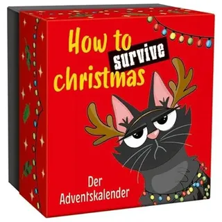 Kaufmann, Ernst How to survive christmas