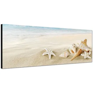Wandbild auf Leinwand ( Leinwandbild ) als Panorama in 120x40 cm Strand ( weißer Sandstrand )am Meer mit Muscheln und Seesternen und Schnecken! Qualität von bestforhome!