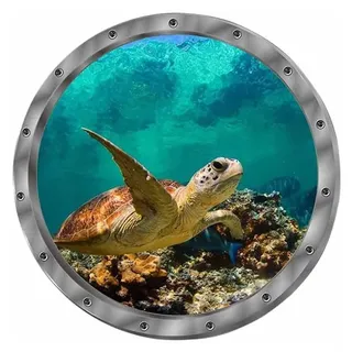Minkurow Wandtattoo 3d Wandtattoo Fenster Delphin Schildkröten Unterwasserwelt Delfine Marine Wohnzimmer Schlafzimmer Kinderzimmer Dekoration (schildkröten)