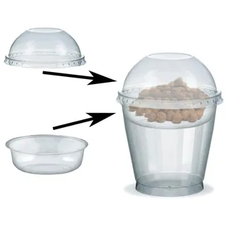 VEPATIM 100x Feinkostbecher für Salat Müsli Joghurt mit Einsatz + Deckel 250 ml