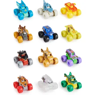 Spin Master MNJ Monster Jam Mini Single Pack