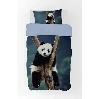 BrandMac Bettwäsche Panda Bär - Bettwäsche-Set, Pandabär 135x200 & 80x80, Baumwolle, 100% Baumwolle bunt