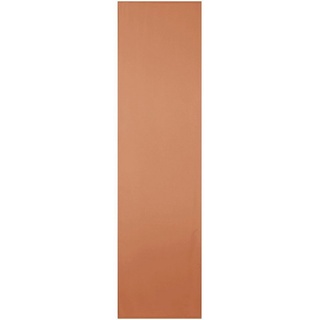 BestLivings Flächenvorhang Blickdicht Schiebegardine Raumteiler Schiebe-Vorhang ca.60cm x 245cm, Auswahl: ohne Zubehör, Größe: 60x245cm, Farbe: Hellbraun - Braun