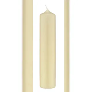 Kopschitz Kerzen Altarkerzen Champagner 300 x Ø 70 mm, 12 Stück