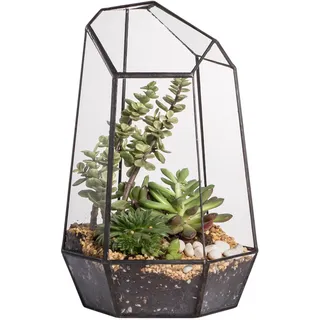 NCYP 16,5x16,5x25 cm Glas Geometrisches Terrarium Keine Tür, unregelmäßiges Prisma, Blumentopf für Mini-Sukkulenten, Kleine Kakteen Pflanzen (Ohne Pflanzen)