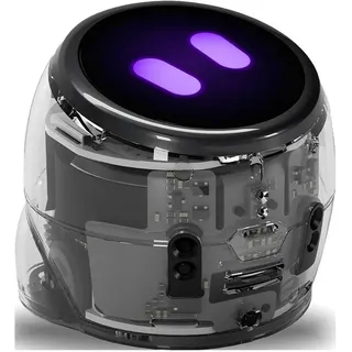OZOBOT Spielzeugroboter Ari Starterset mint