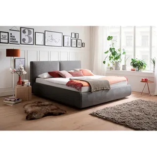 Meise Möbel Atesio 180 x 200 cm Bettkasten anthrazit